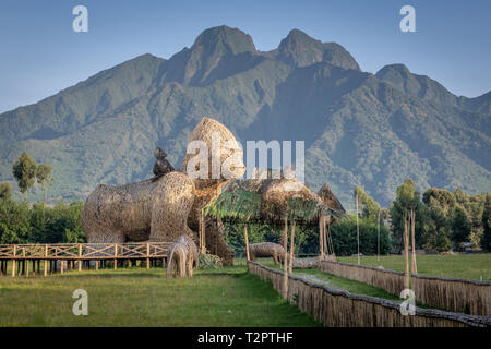 Gorilla Naming ceremony grounds, Volcanos national park, Rwanda. Stock Photo