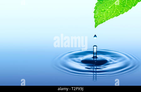 Rain drop falling from green wet leaf to smooth surface of water Stock Photo