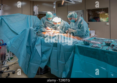 two surgeons perform a vascular operation Stock Photo