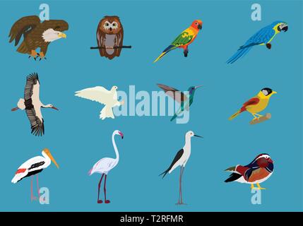 Various sets of birds Blue background,animals vector Stock Vector