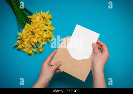 female hands holding craft envelope with a card, fresh yellow daffodils on a blue background. Office desk, spring concept. Stock Photo