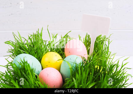Colorful pastel Easter eggs in grass. Easter hunt cocept with white background with white label with copy space Stock Photo