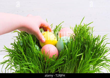 Child's hand take Easter decorated egg from grass. Easter hunt concept with copy space. Selective focus Stock Photo