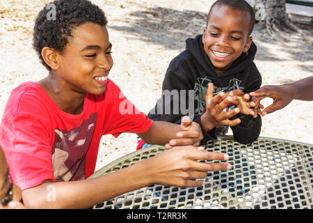 Miami Beach Florida,Flamingo Park,Valentine's Day Carnival,popcorn,popper, machine,Hispanic Black,boy boys,male kid kids child children girl  girls,fema Stock Photo - Alamy