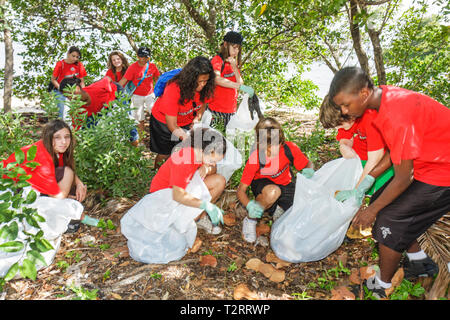 Miami Florida,clean cleaning up community,volunteer volunteers volunteering work worker workers,working together help,helping student students Hispani Stock Photo