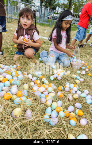 Miami Florida,Marg,Road,aret Pace Park,Easter Eggstravaganza,family families parent parents child children,egg hunt,holiday,tradition,plastic egg,gath Stock Photo