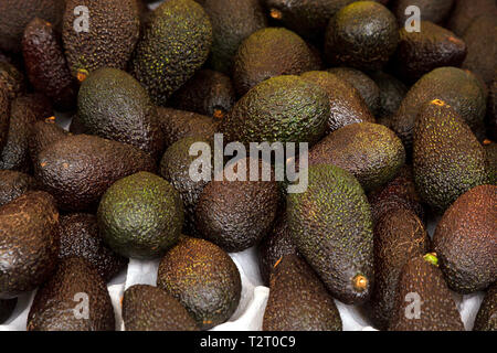 Top view of a palette of many ripe avocados. A lots of avocado in the market. Stock Photo