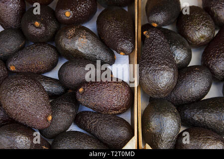 Top view of a palette of many ripe avocados. A lots of avocado in the market. Stock Photo