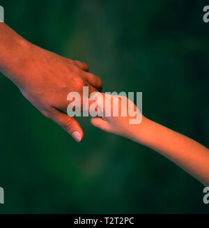 Child's hand holding the finger of an adult Stock Photo
