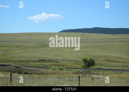Colorado landscape near Castle Rock