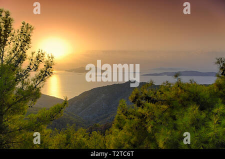 Sunset over the Aegean sea and Dodecanese Islands framed by fir branches Stock Photo