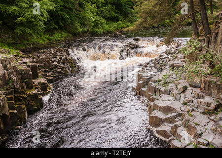 A scenic view of the Low Force waterfalls in Teesdale in north east Durham,England,UK Stock Photo