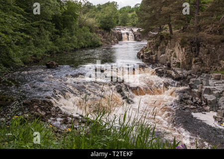 A scenic view of the Low Force waterfalls in Teesdale in north east Durham,England,UK Stock Photo