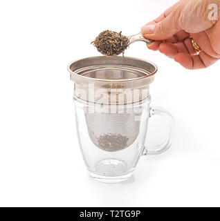 Putting tea leaves in tea straine Stock Photo