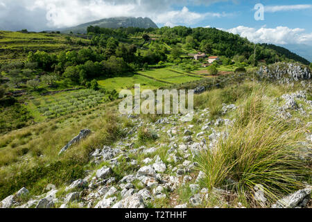 Italy, Campania, Cilento National Park,  Masseta and Infreschi  Coast, farmland; bg.: Mt. Bulgheria Stock Photo