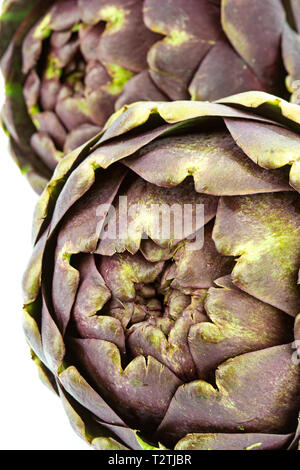 fresh globe artichokes on white copy space closeup Stock Photo