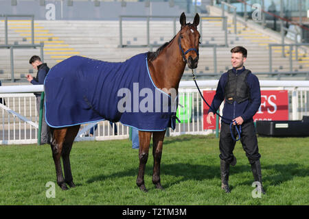 Aintree, Liverpool. 4th April, 2019. UK Weather. Aintree Opening Day. Irish Horse Road to Riches warming up for the hurdle races later in the afternoon. Credit. MWI/AlamyLiveNews Stock Photo