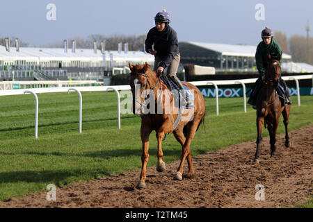 Aintree, Liverpool. 4th April, 2019.  Uk Weather. Bright sunny start to the day on Aintree Opening Day. Preparations underway for the start of the three-day horse racing festival as stable lads take horses for an early morning warm up run.  Credit. MWI/AlamyLiveNews Stock Photo