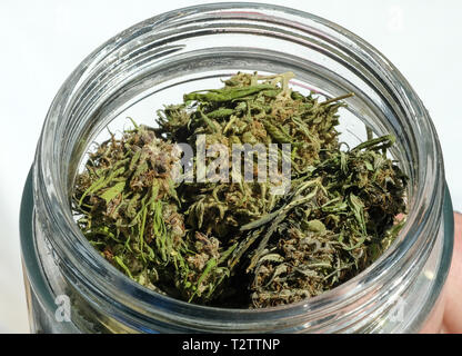 Berlin, Germany. 02nd Apr, 2019. Dried hemp buds can be seen in a glass jar at the International Cannabis Business Conference ICBC at an exhibitor's stand. Credit: Jens Kalaene/dpa-Zentralbild/ZB/dpa/Alamy Live News Stock Photo