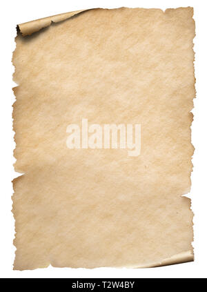 Old paper textured sheet isolated on white Stock Photo
