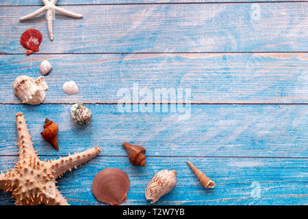 Top view of starfish and many seashells on blue wood textured background - with copy space - summer time and holiday backdrop concept Stock Photo