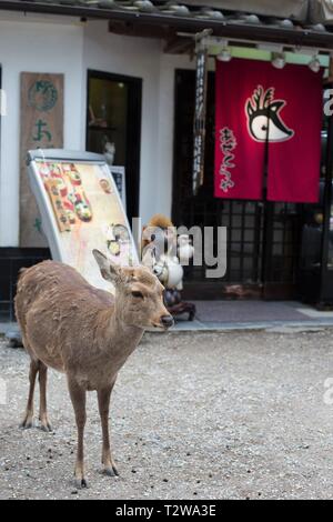 A deer standing next to a banner with a painted deer, in Nara, Japan. Stock Photo