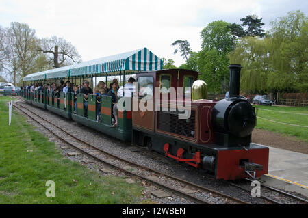 The small train named 'Sir Winston Churchill' with its carriages of visitors  leaving Pleasure Garden Station in the grounds of Blenheim Palace at Woo Stock Photo