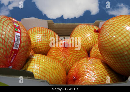 Oranges in plastic net bag on a cardboard box whith sky in the background, concept Stock Photo