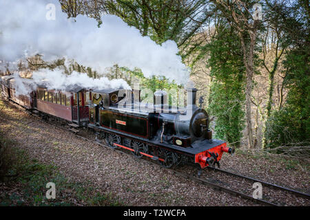 Steam Train with engine belching smoke and steam.  0-6-0T Locomotive Twizell pulling passenger carriages on Tanfield Railway County Durham Stock Photo