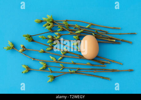 Vernal or Easter composition with egg and budding twigs on blue background, top view Stock Photo