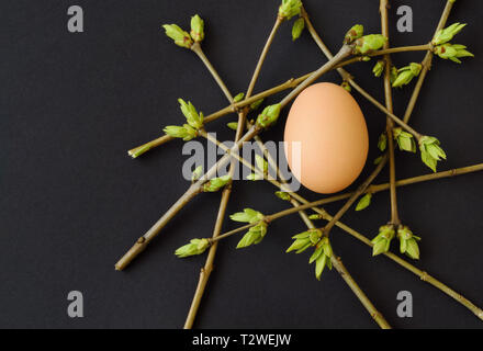 Easter-vernal composition with egg in a nest of budding twigs on black background, top view Stock Photo