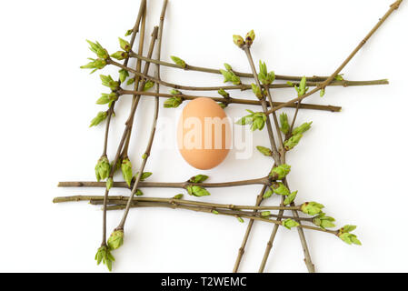 Vernal composition with egg in a nest of budding twigs on white background, top view Stock Photo