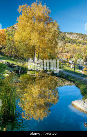 Italy, Aosta Valley, Introd, silver birch in autumn (Betula pendula), reflection in a pond Stock Photo