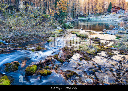 Italy, Aosta Valley, Rhemes Valley, Pellaud alpine lake, European larches forest in autumn (Larix decidua) Stock Photo