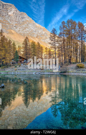 Italy, Aosta Valley, Rhemes Valley, Pellaud alpine lake, European larches forest in autumn (Larix decidua), restaurant Stock Photo