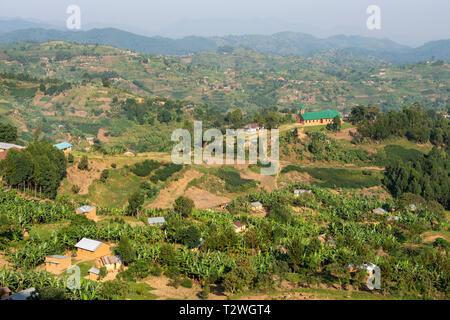 Banana and tea plantations in hill country north of Lake Bunyonyi in South West Uganda, East Africa Stock Photo