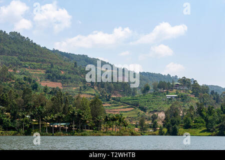 Terraced farmland on shore of Lake Bunyonyi in South West Uganda, East Africa Stock Photo