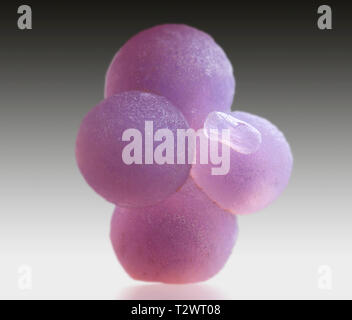 grape agate mineral specimen Stock Photo