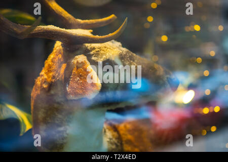 Effigy of a deer with horns in a shop window with a reflection of Christmas lights Stock Photo