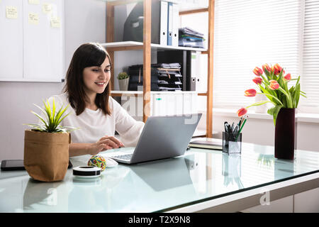 Smiling Young Businesswoman Using Laptop In Office Stock Photo