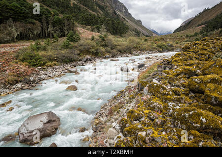 River in the Tarina valley, Gasa District, Snowman Trek, Bhutan Stock Photo