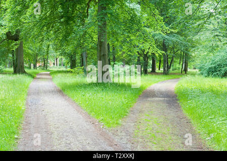 Fork in pathway through a wood Stock Photo