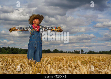 Caucasian man dressed as a scarecrow in a wheatfield Stock Photo