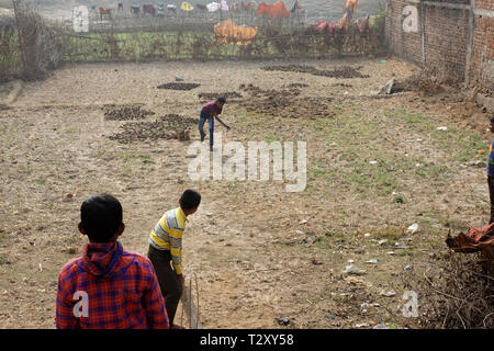 Three little Indian rural boys are playing cricket on farmer's land Stock Photo