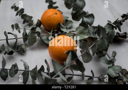 Oranges and eucalyptus on a table Stock Photo