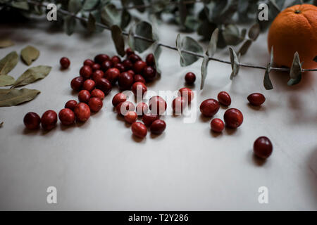 Oranges, cranberries and eucalyptus on a table Stock Photo