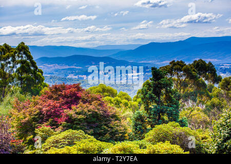 Beautiful autumn foliage and mountains in the background viewed from National Rhododendron Gardens in Melbourne, Australia Stock Photo