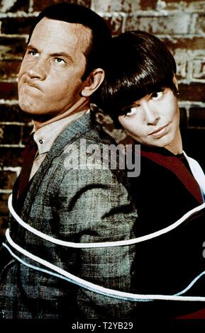 DON ADAMS, BARBARA FELDON, GET SMART, 1965 Stock Photo