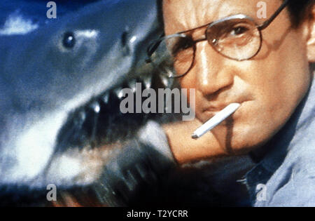 GREAT WHITE SHARK, ROY SCHEIDER, JAWS, 1975 Stock Photo