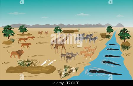 Herd of animals standing on the river. Because run out. From the swarm of lions. And the crocodile in the water Stock Vector
